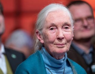 Jane Goodall blames human’s ‘disrespect’ for animals for coronavirus