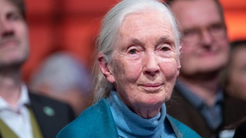 Jane Goodall blames human’s ‘disrespect’ for animals for coronavirus